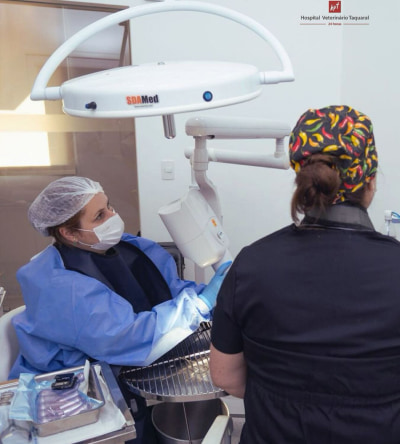 atendimento no hospital veterinario em campinas sp