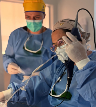 cirurgia no hospital veterinario taquaral em campinas sp
