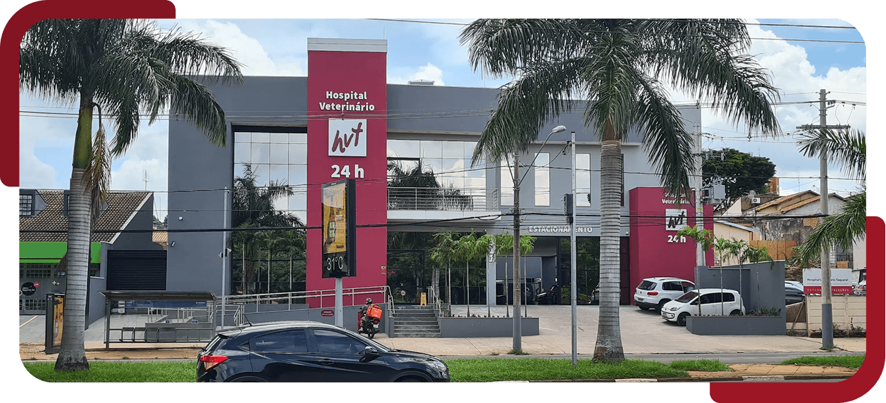 fachada hospital veterinário taquaral campinas sp