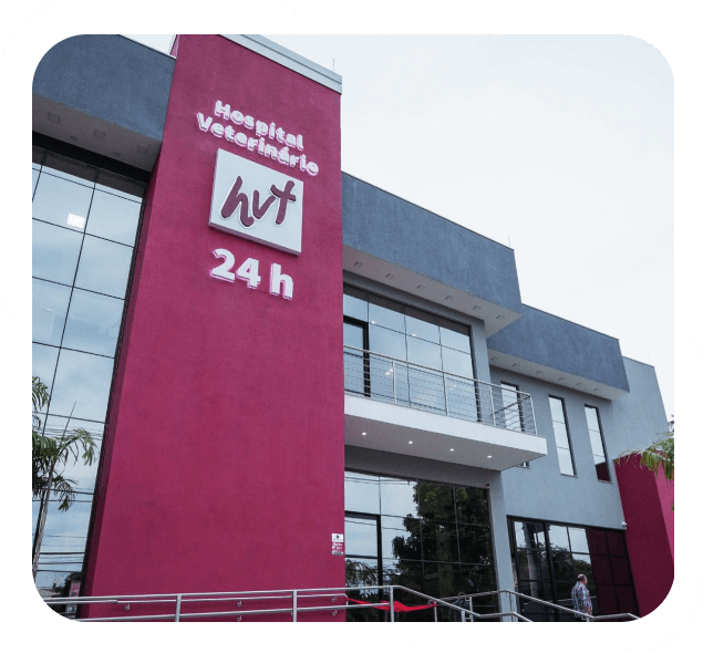 hospital veterinário em campinas sp